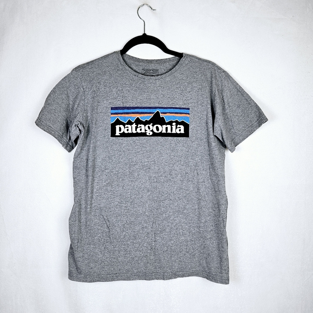Patagonia Graphic T-shirt Grey Size XXL 16-18